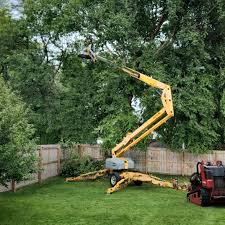 Best Tree Risk Assessment  in Forney, TX